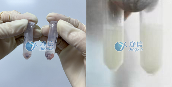 冷凍組織研磨儀對裸鼠腫瘤組織樣品的前處理實驗研磨效果圖 冷凍組織研磨儀對裸鼠腫瘤組織樣品的前處理實驗研磨效果圖